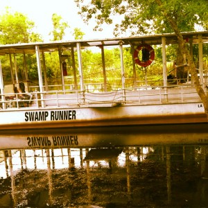 Swamp Tour