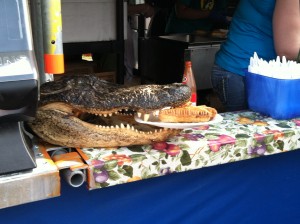 Alligator Pie